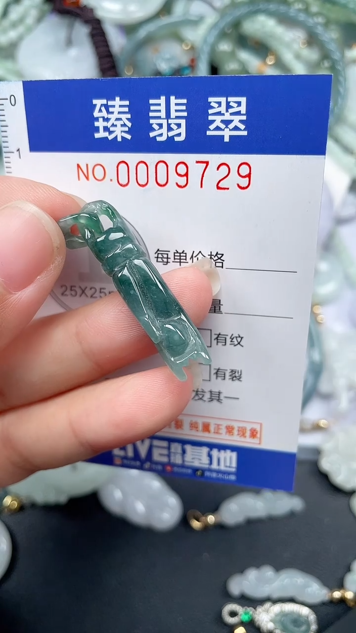 颈饰未镶嵌翡翠.0009729