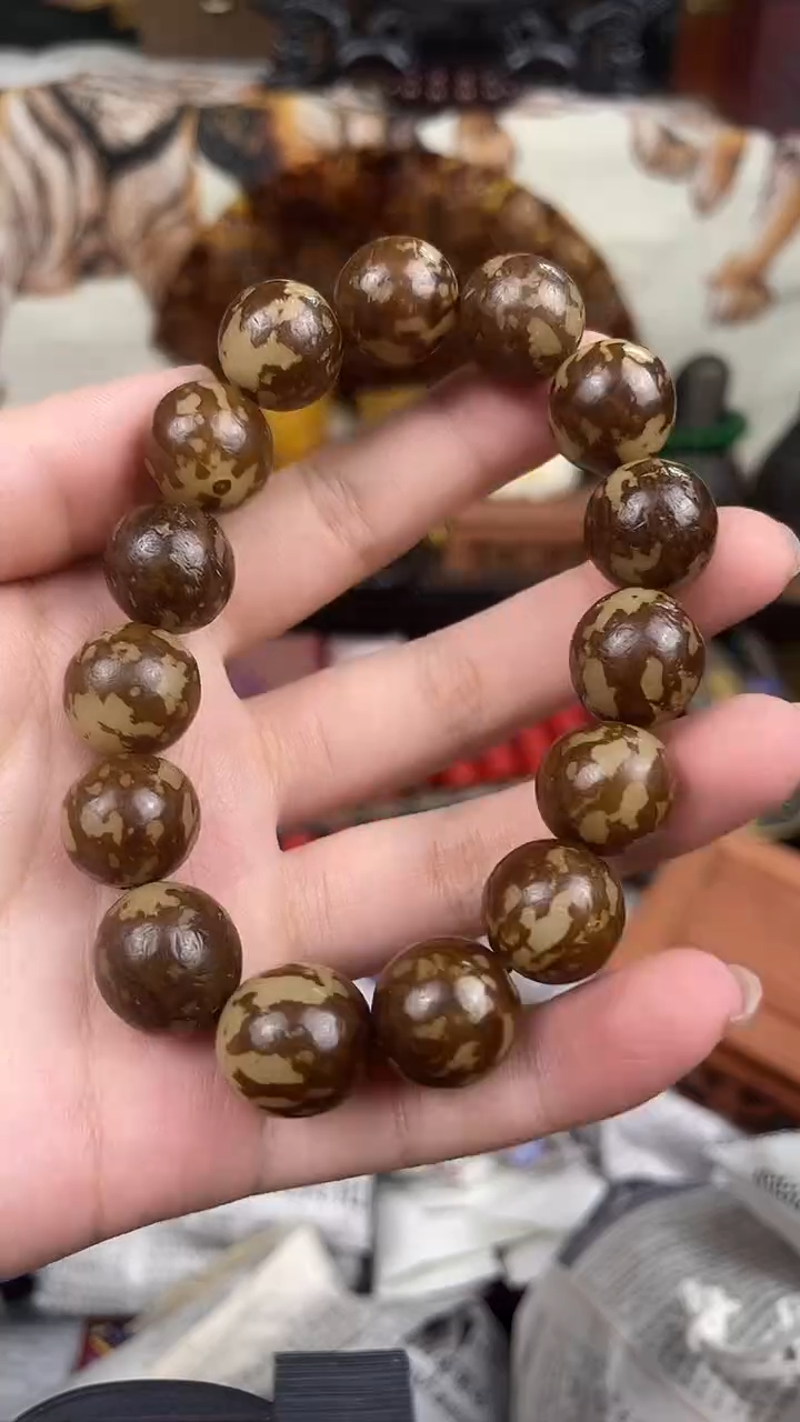香榧木小月——————噗根