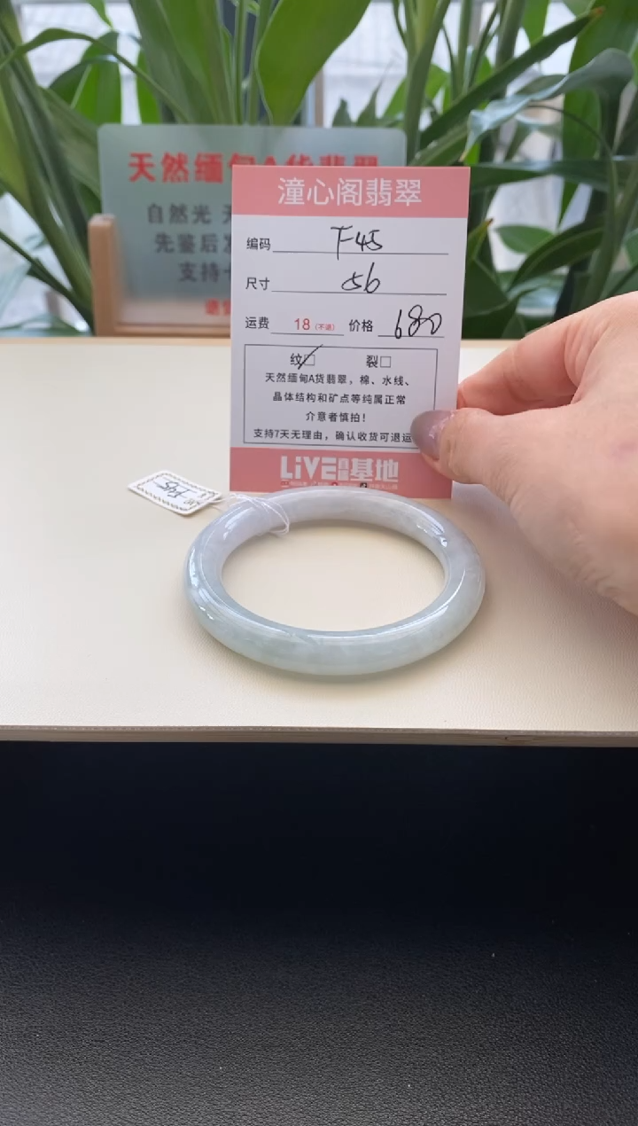 未镶嵌手镯翡翠56圈口F45