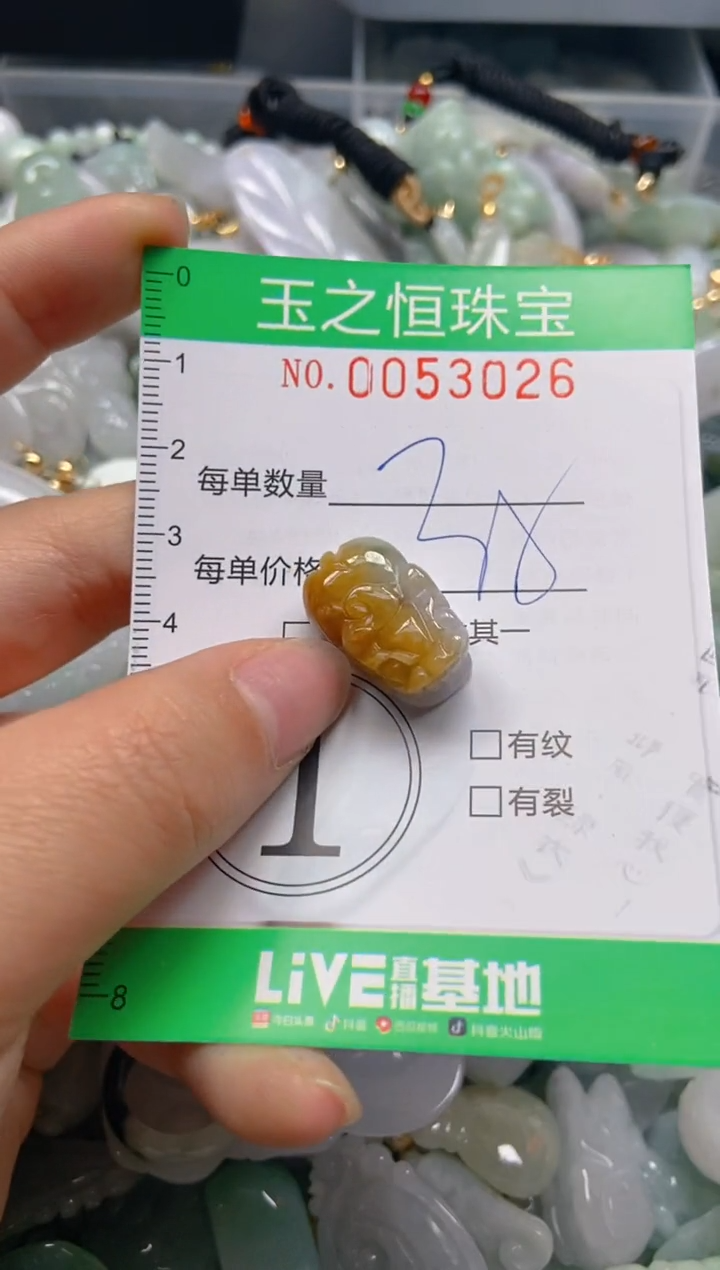 【闪购商品】翡翠颈饰未镶嵌闪购0053026