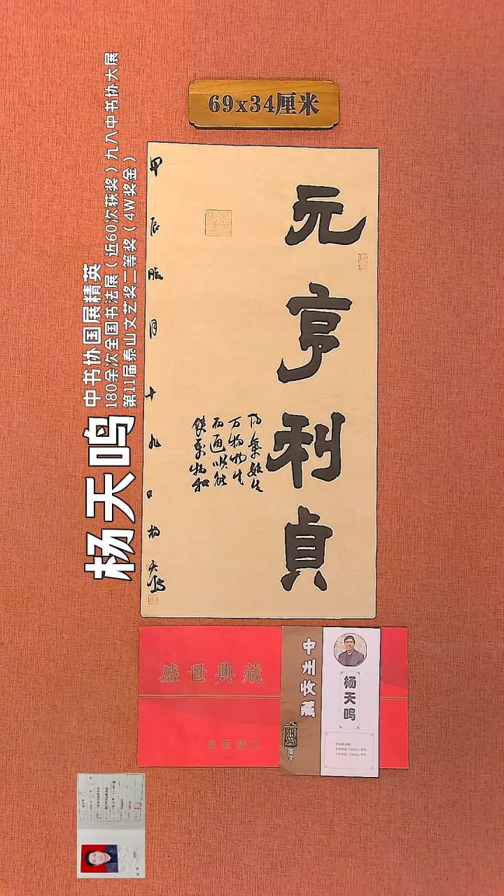 【闪购商品】书法102        杨天鸣书法作品