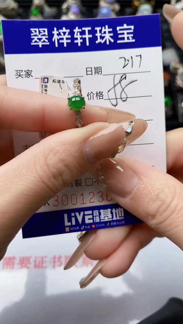 【闪购商品】翡翠戒指银S925镶嵌/1236