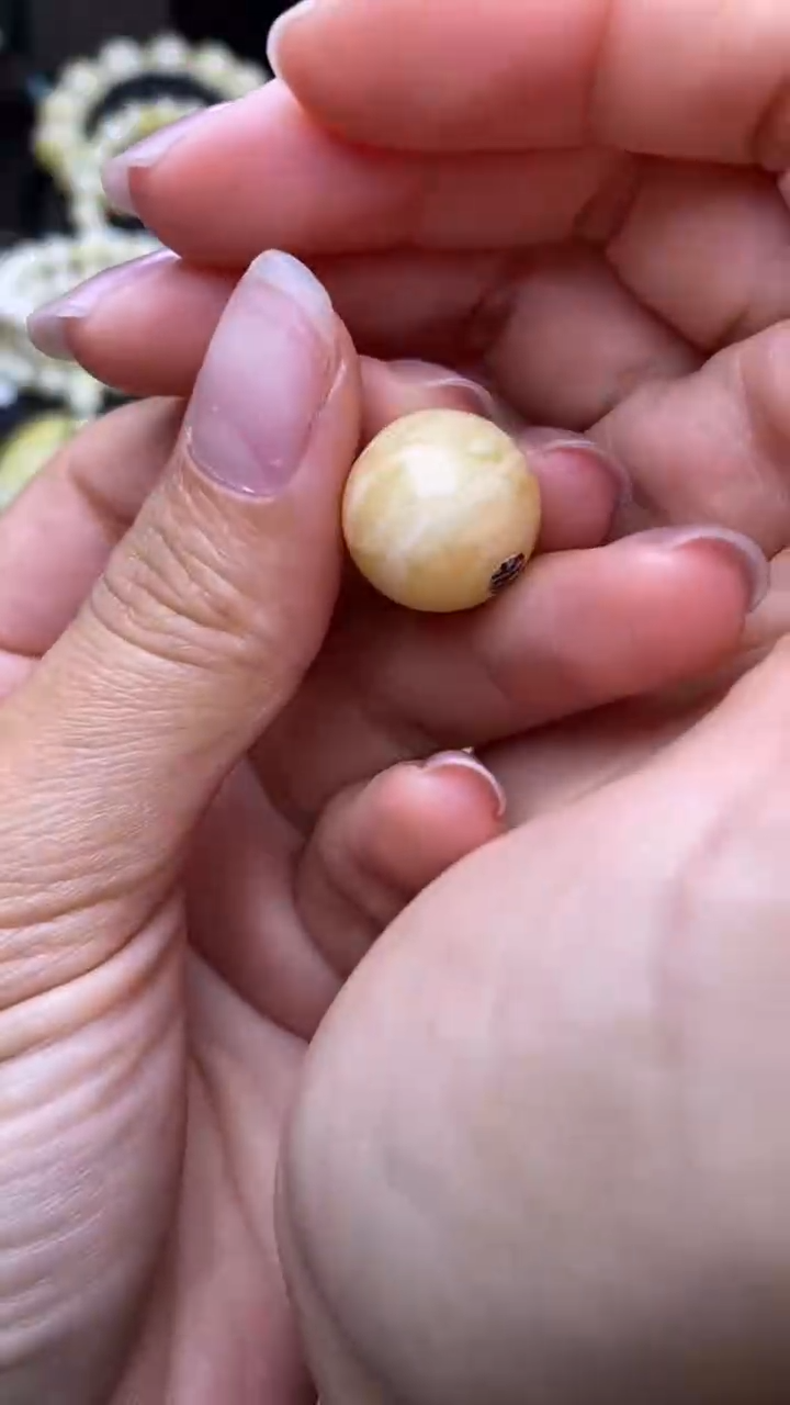 裸石琥珀未镶嵌葵.37