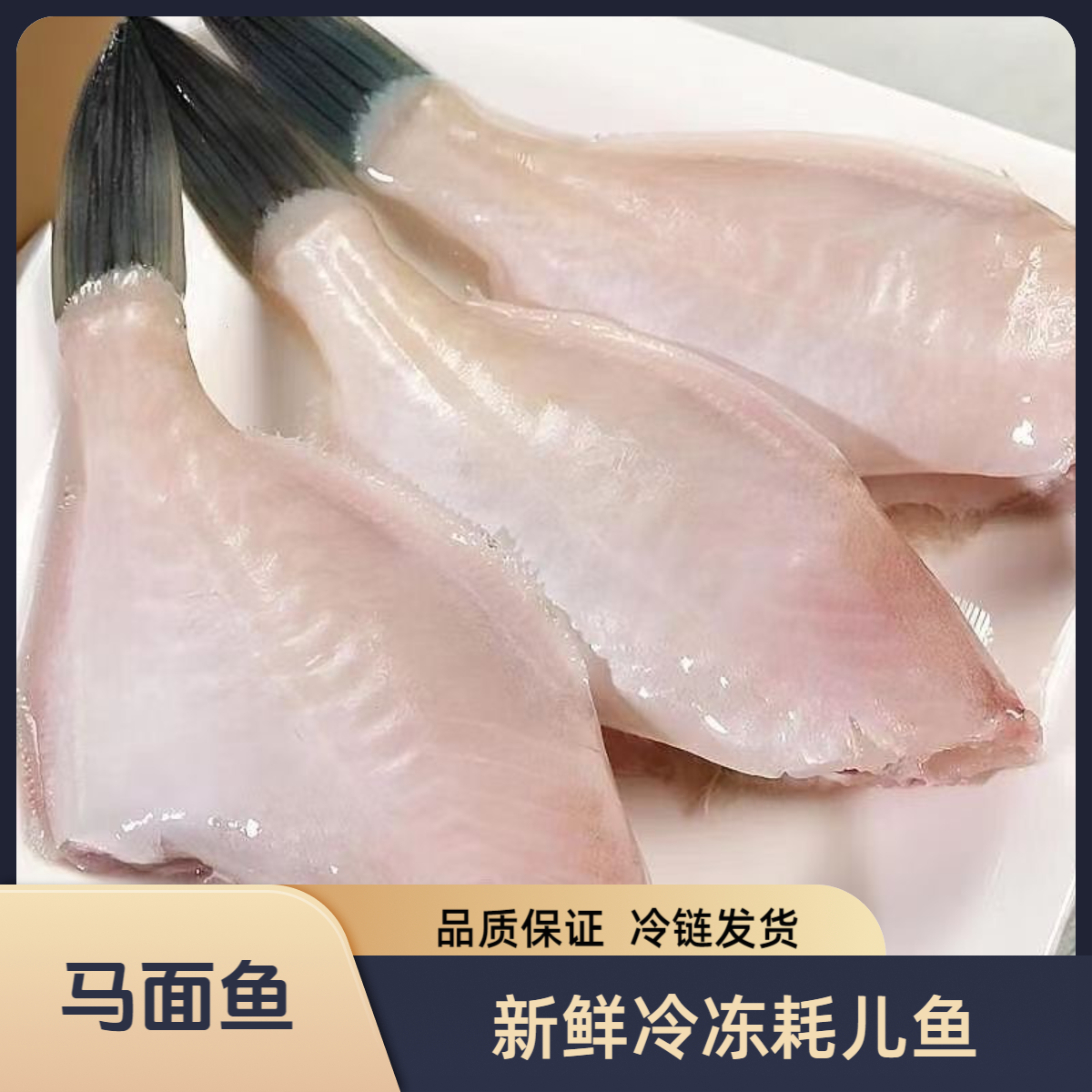 【马面鱼】正宗耗儿鱼大号马面鱼扒皮鱼（7-9两/条）连云港发货剥皮鱼