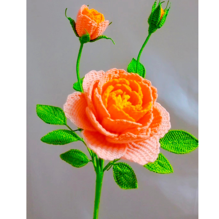 奥斯汀月季花手钩花视频教程（苹果端）