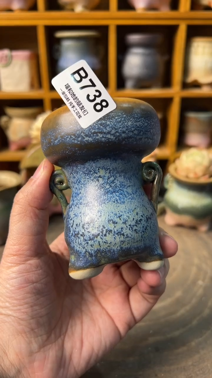 738 内口5【多肉花盆多肉盆】