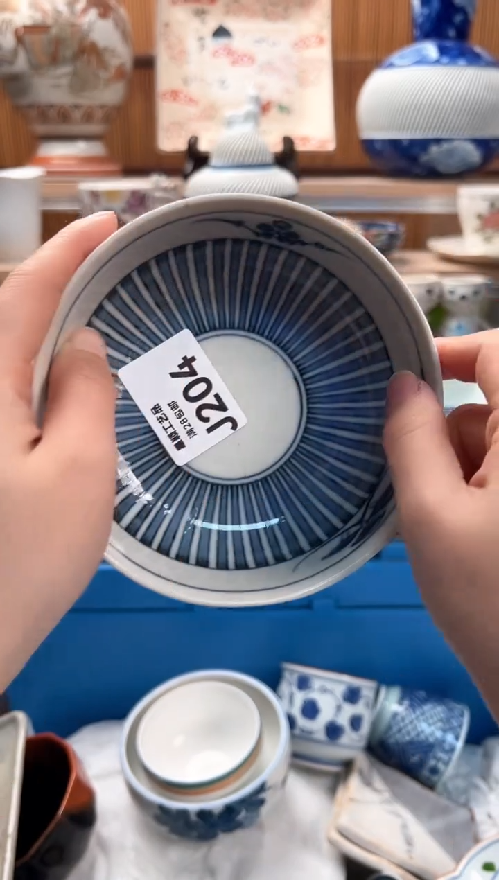 瓷片兰204 J满28包邮 不满找客服延迟发货