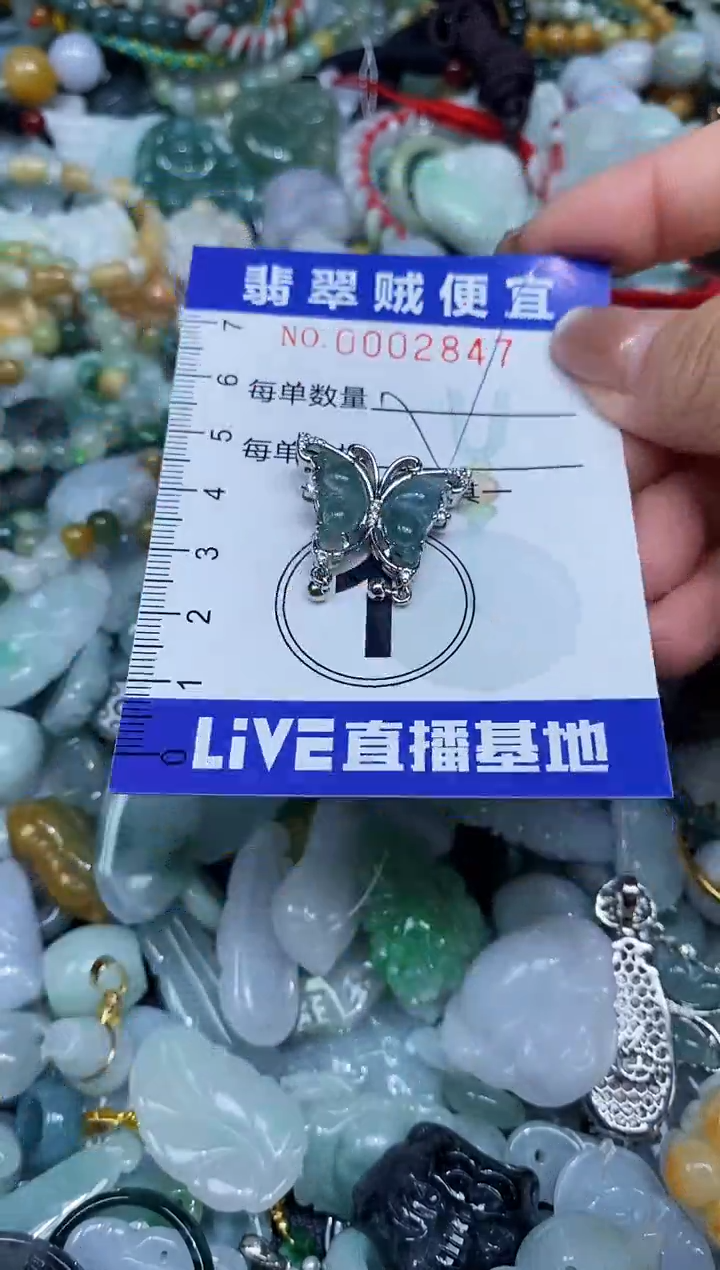 【闪购商品】翡翠未镶嵌颈饰闪购0002847多样性发其一