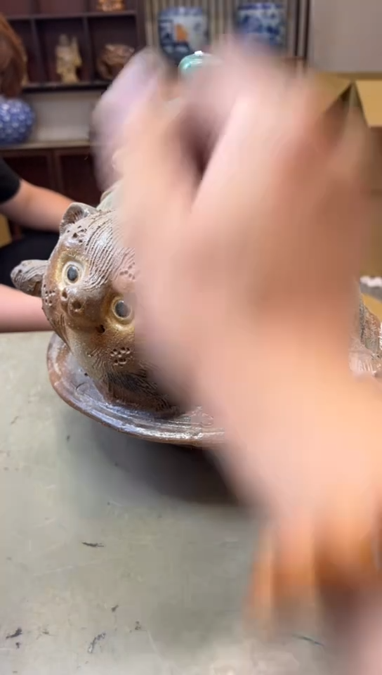瓷片611聚宝缘海淘精选