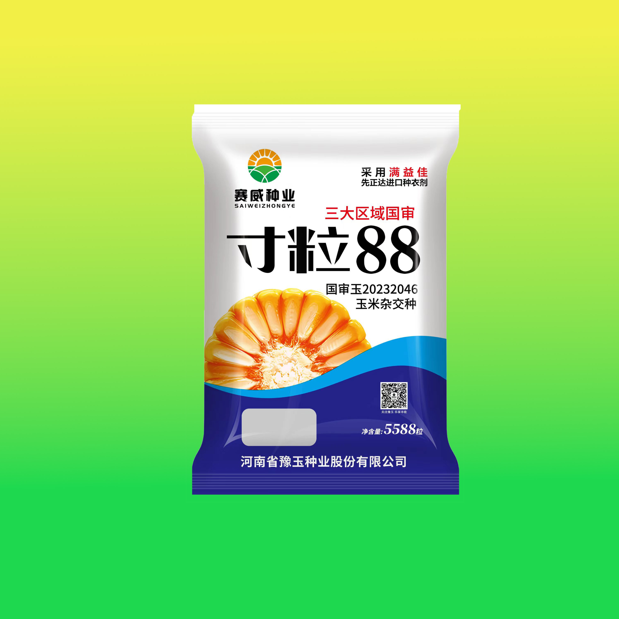 耐密高产新方向寸粒88