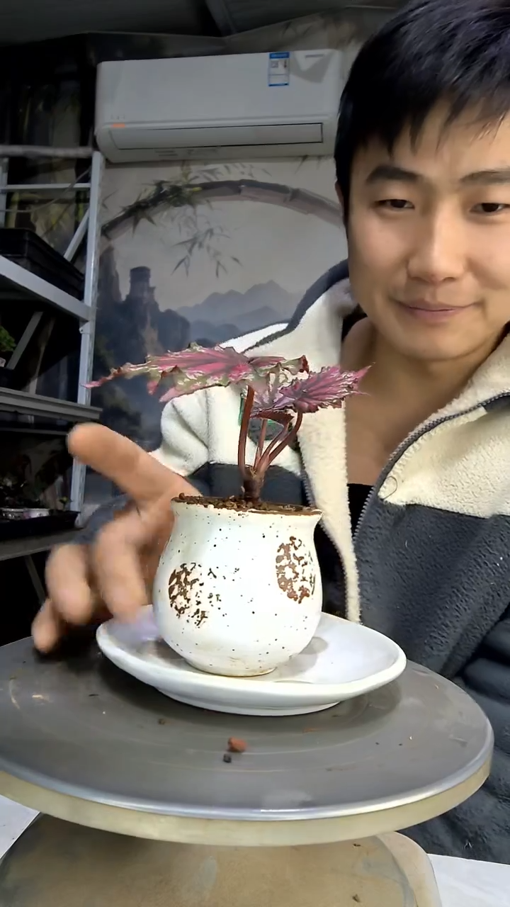 心*中青园艺一物一拍花491