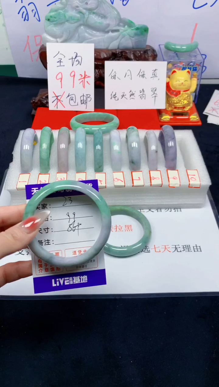 未镶嵌手镯翡翠23