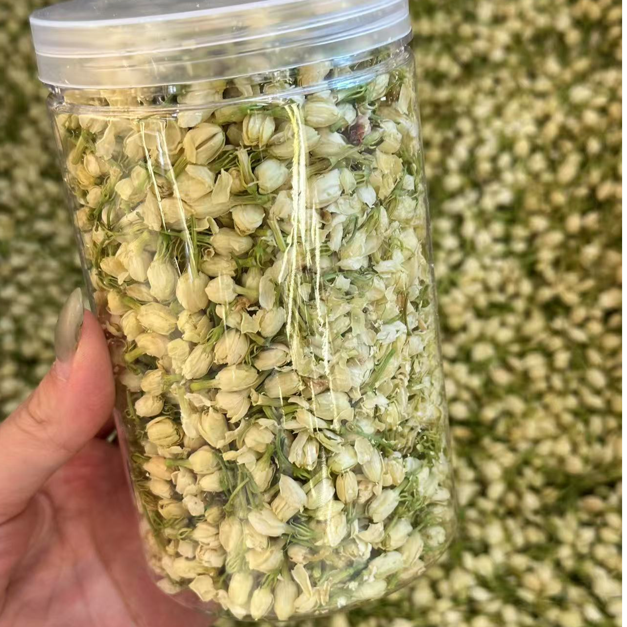 特级茉莉花干花苞 新晒新采 泡水喝