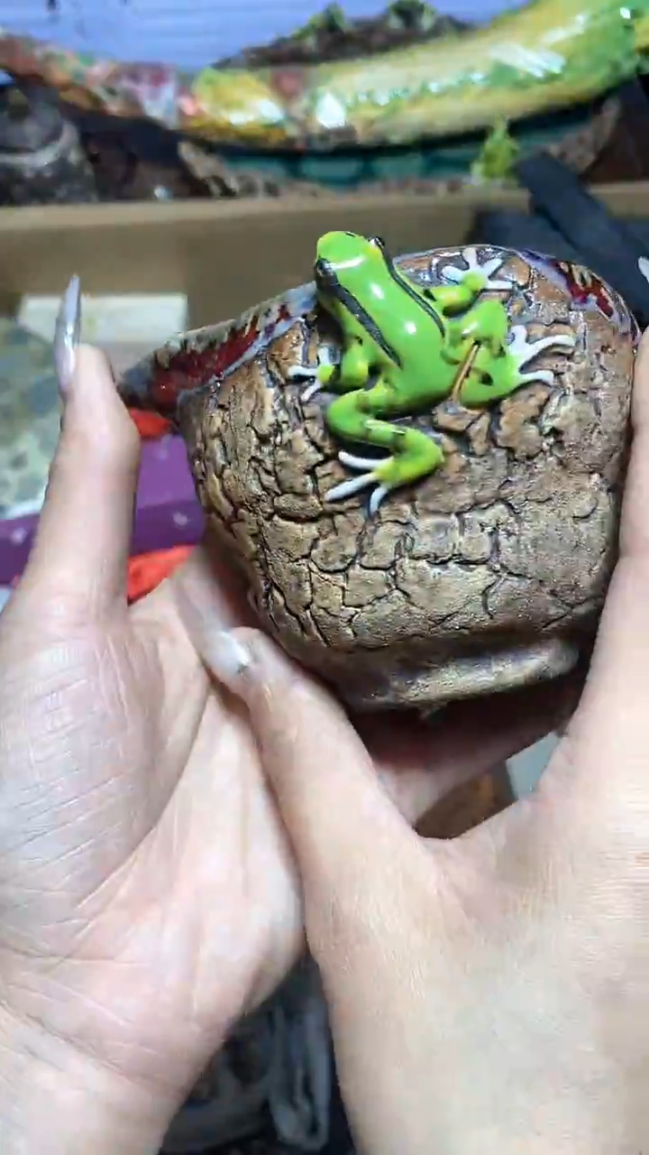 【闪购商品】瓷器瓷器瓷器瓷器