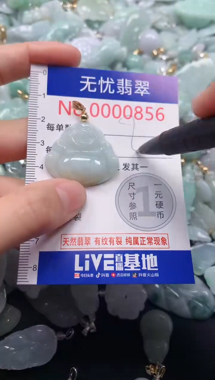 颈饰未镶嵌翡翠856