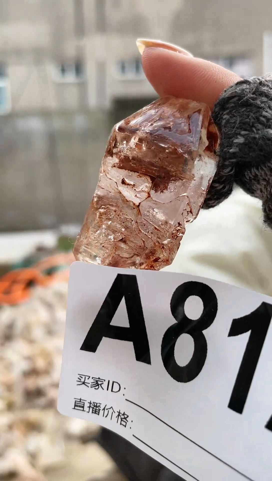 【闪购商品】水晶摆件未镶嵌红泥骸骨  812