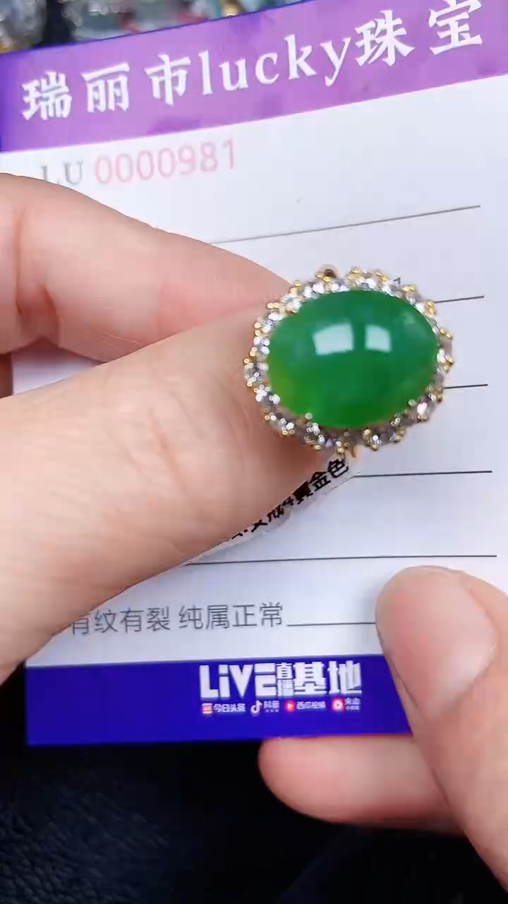 颈饰银S925镶嵌翡翠0981