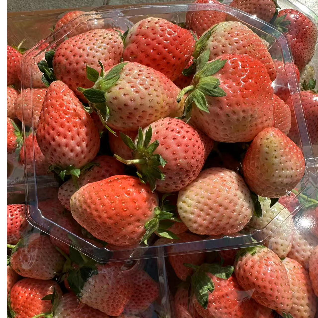粉玉草莓（1斤）粉玉中国大陆