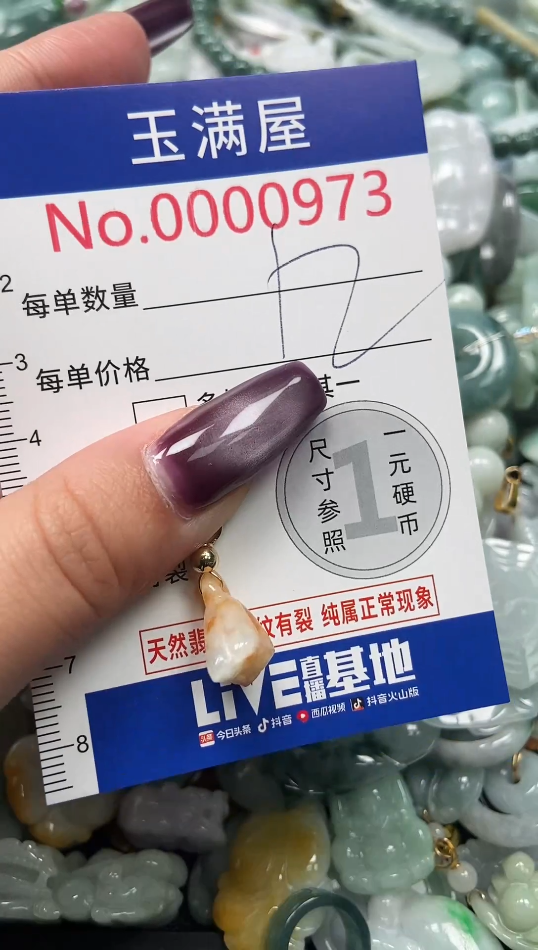 颈饰未镶嵌翡翠973