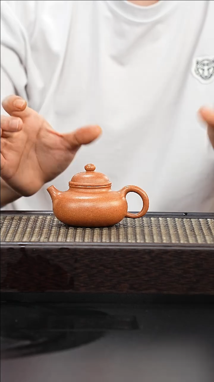 茶壶紫砂全手工黄降坡迷你小容天