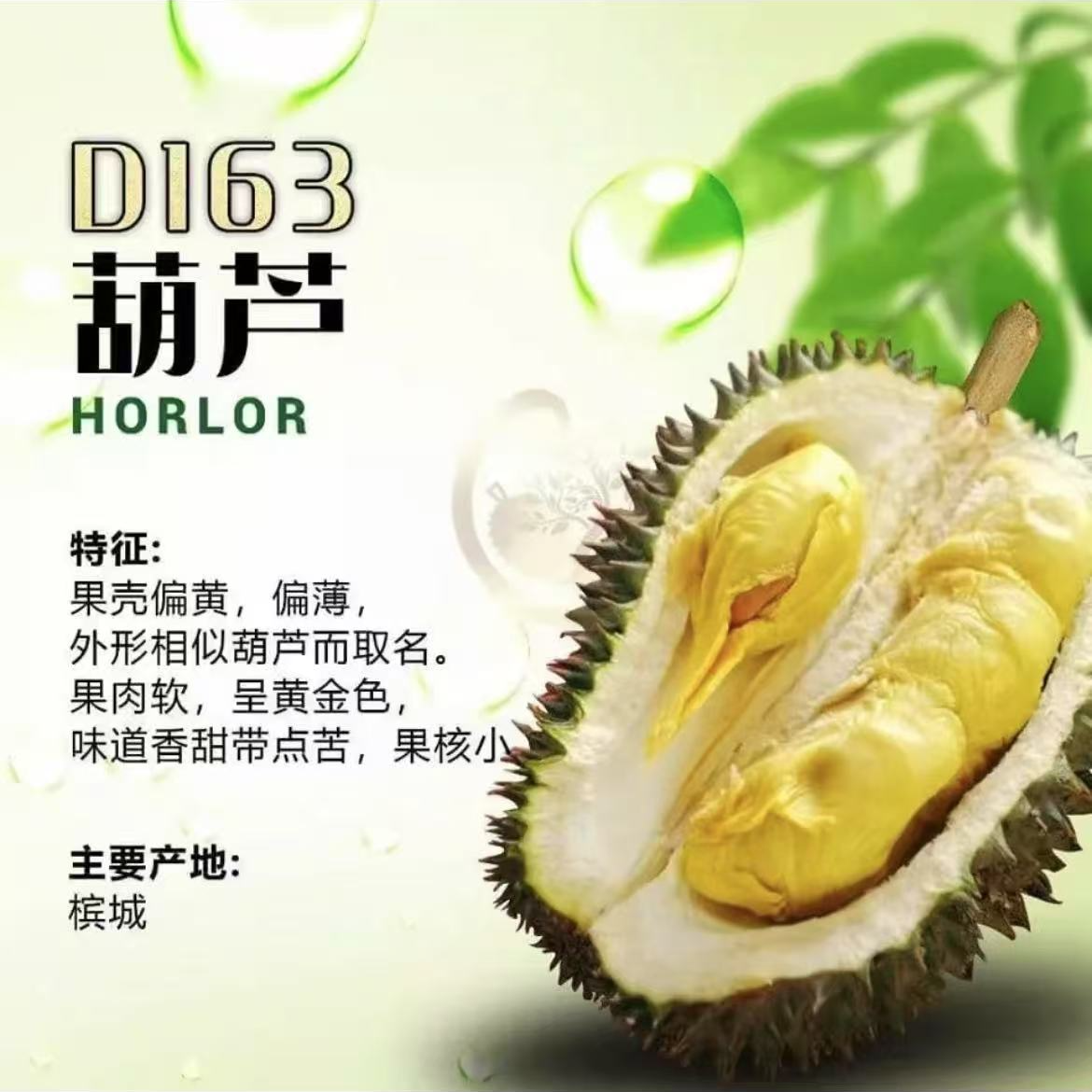 D163葫芦榴莲马来西亚液氮锁鲜顺丰包邮