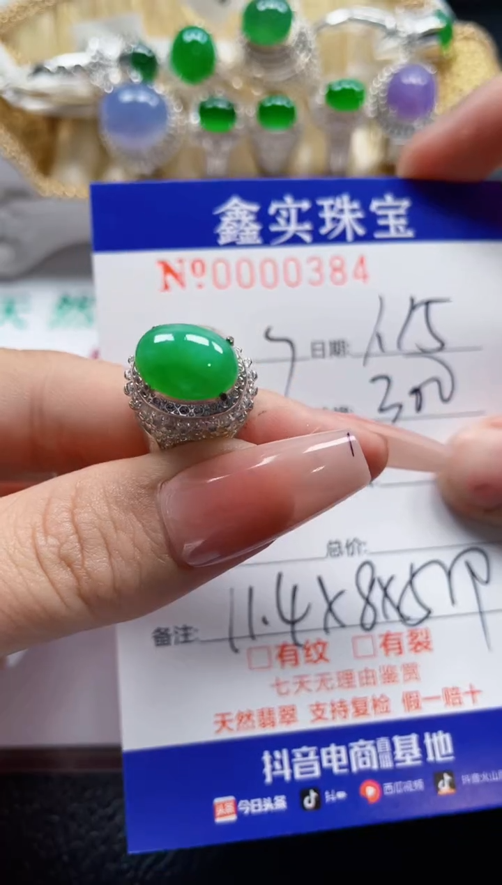 【闪购商品】翡翠颈饰未镶嵌/03840000