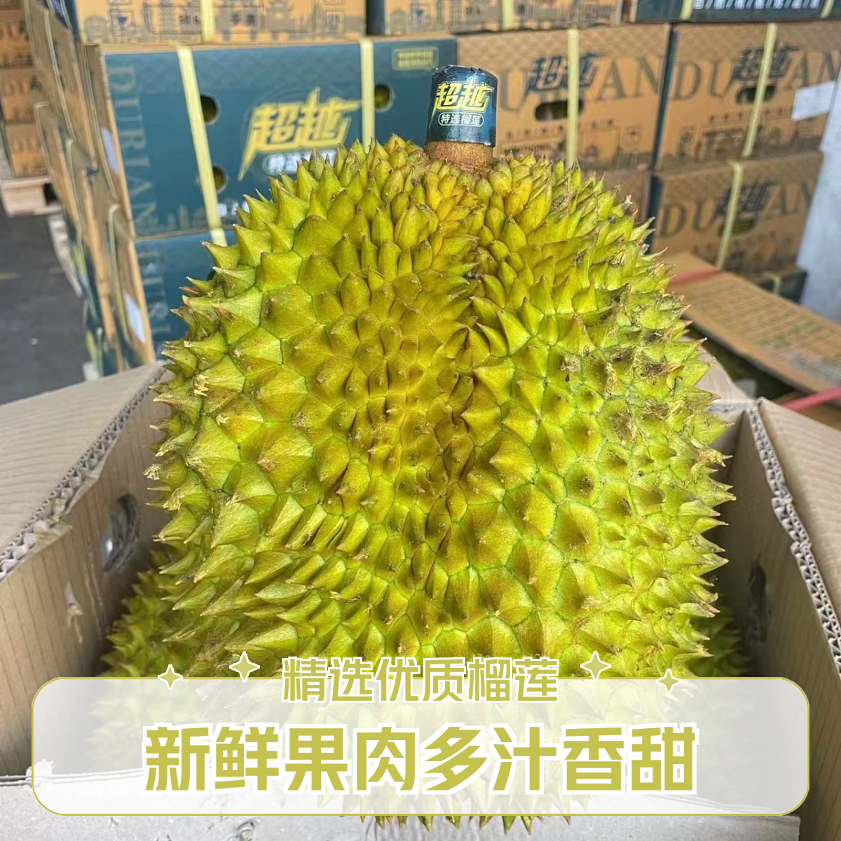 【新号开播-金枕榴莲】越南新鲜金枕榴莲核小19.8/斤金枕越南社会主义共和国