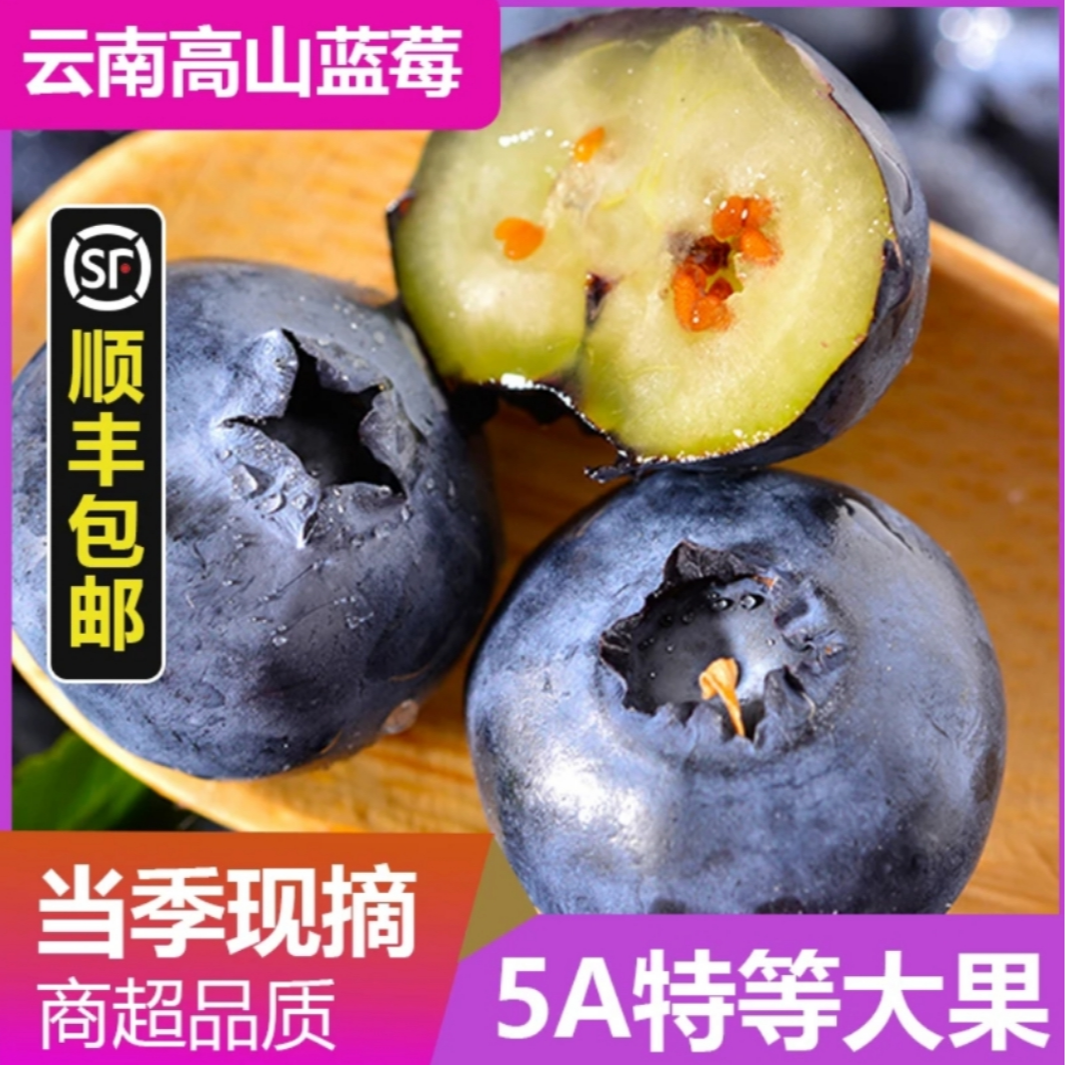 【明天到】云南高山蓝莓大果18-20mm顺丰到家100g/盒新鲜云南省