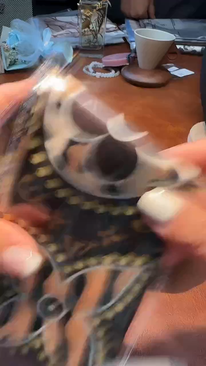 瓷片瓷片瓷片瓷片瓷片@LYWDFDBWLHZSPD@