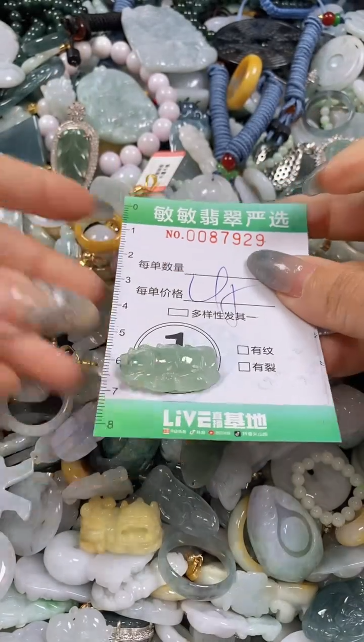 【闪购商品】翡翠颈饰未镶嵌闪购0087929