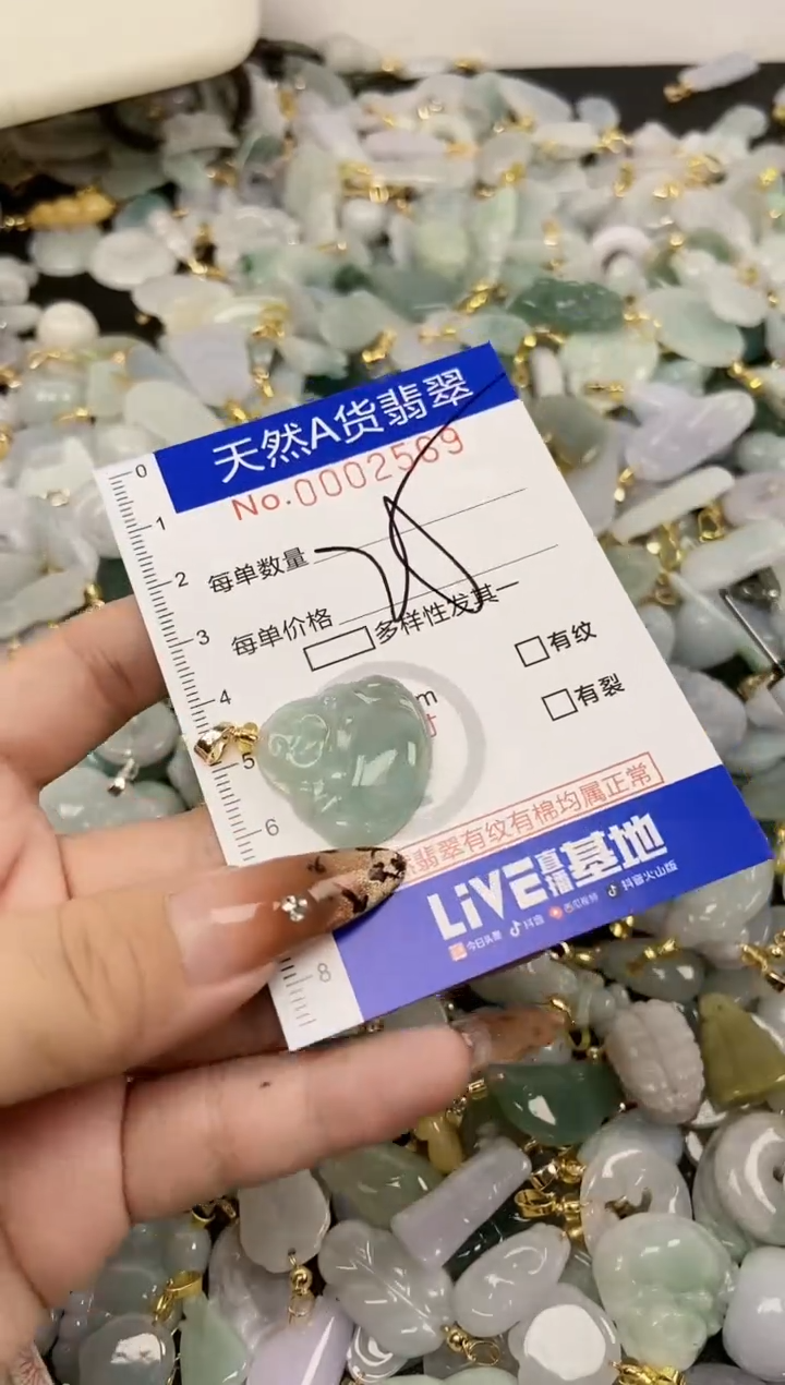 【闪购商品】翡翠颈饰未镶嵌天然A货翡翠