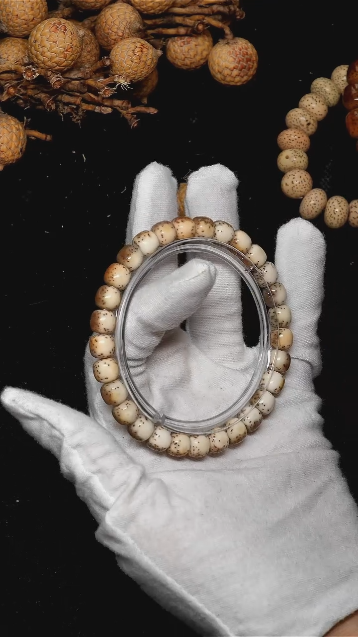 手串星月菩提8*7棕背河豚-A010-2