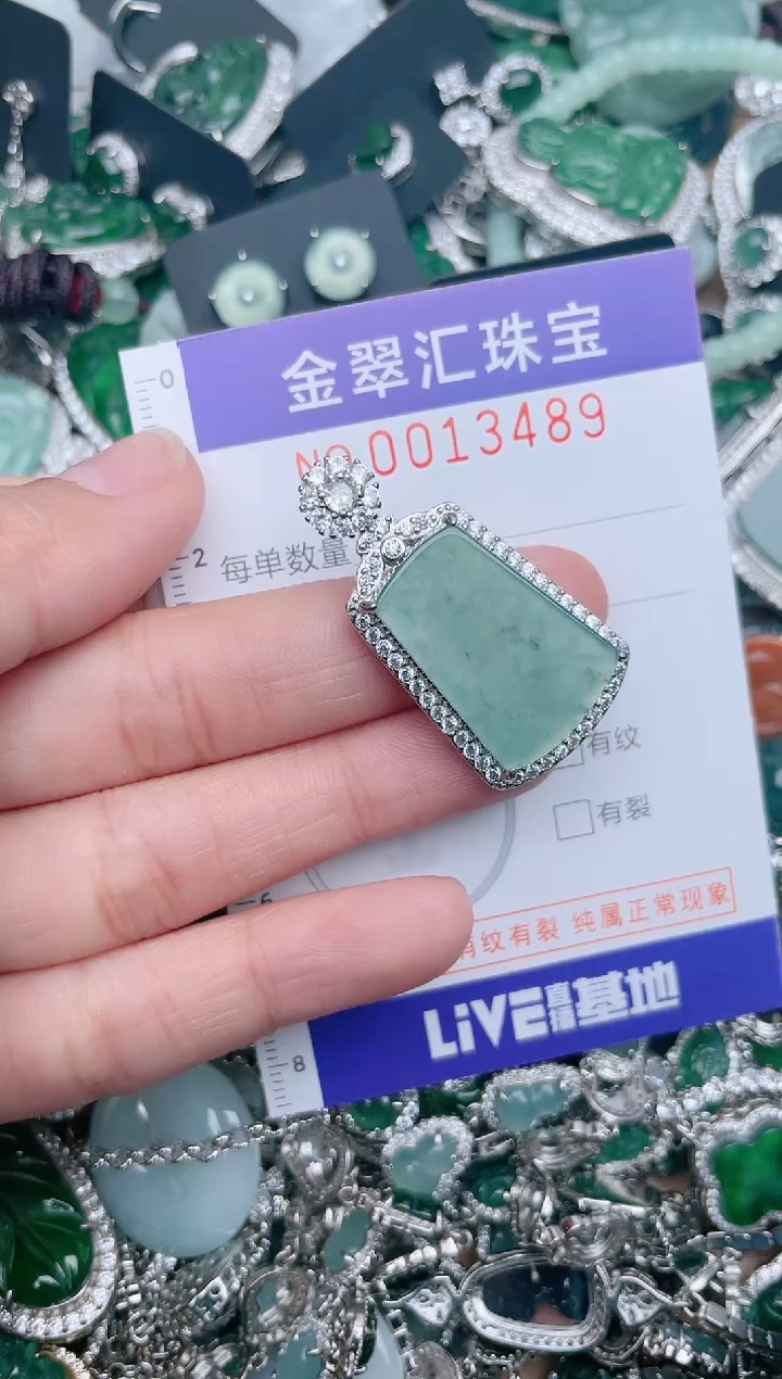 【闪购商品】翡翠颈饰未镶嵌13489.......1