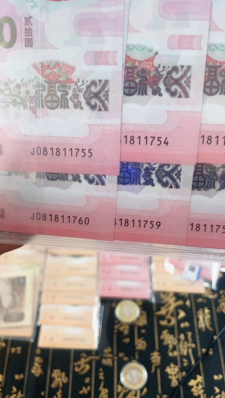 【闪购商品】塑料2025年蛇纪念钞标十081811头