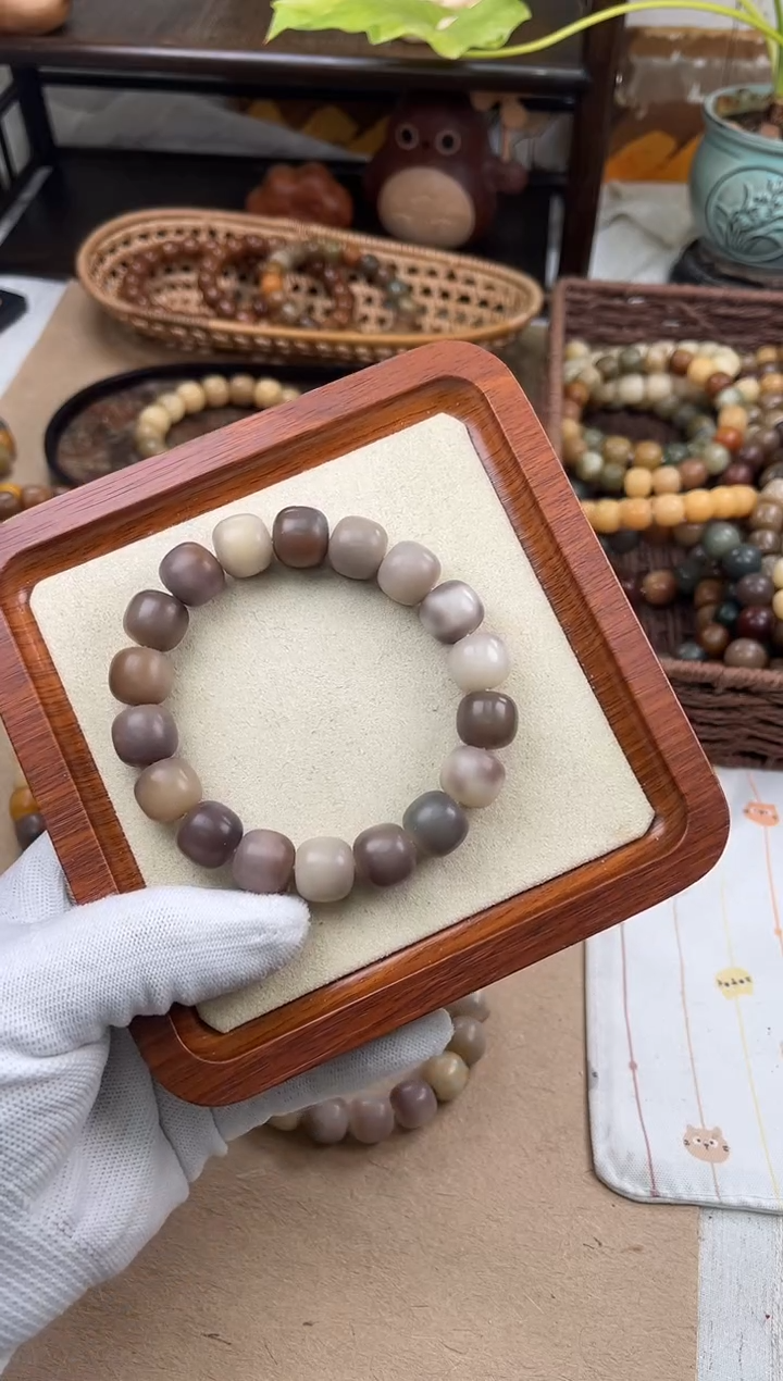 手串菩提根/象牙果a842卡14 干磨万圣家族孔一般