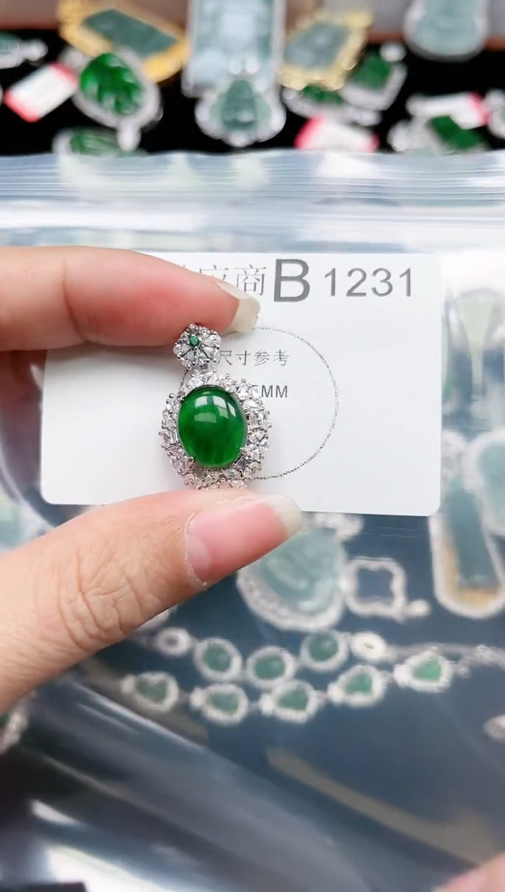 【闪购商品】翡翠颈饰未镶嵌赠皮绳1231