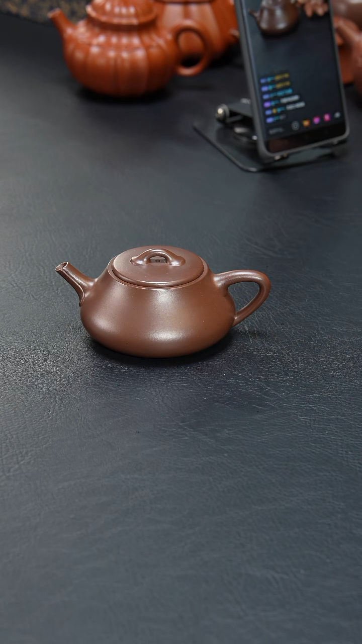 茶壶紫砂远业石瓢