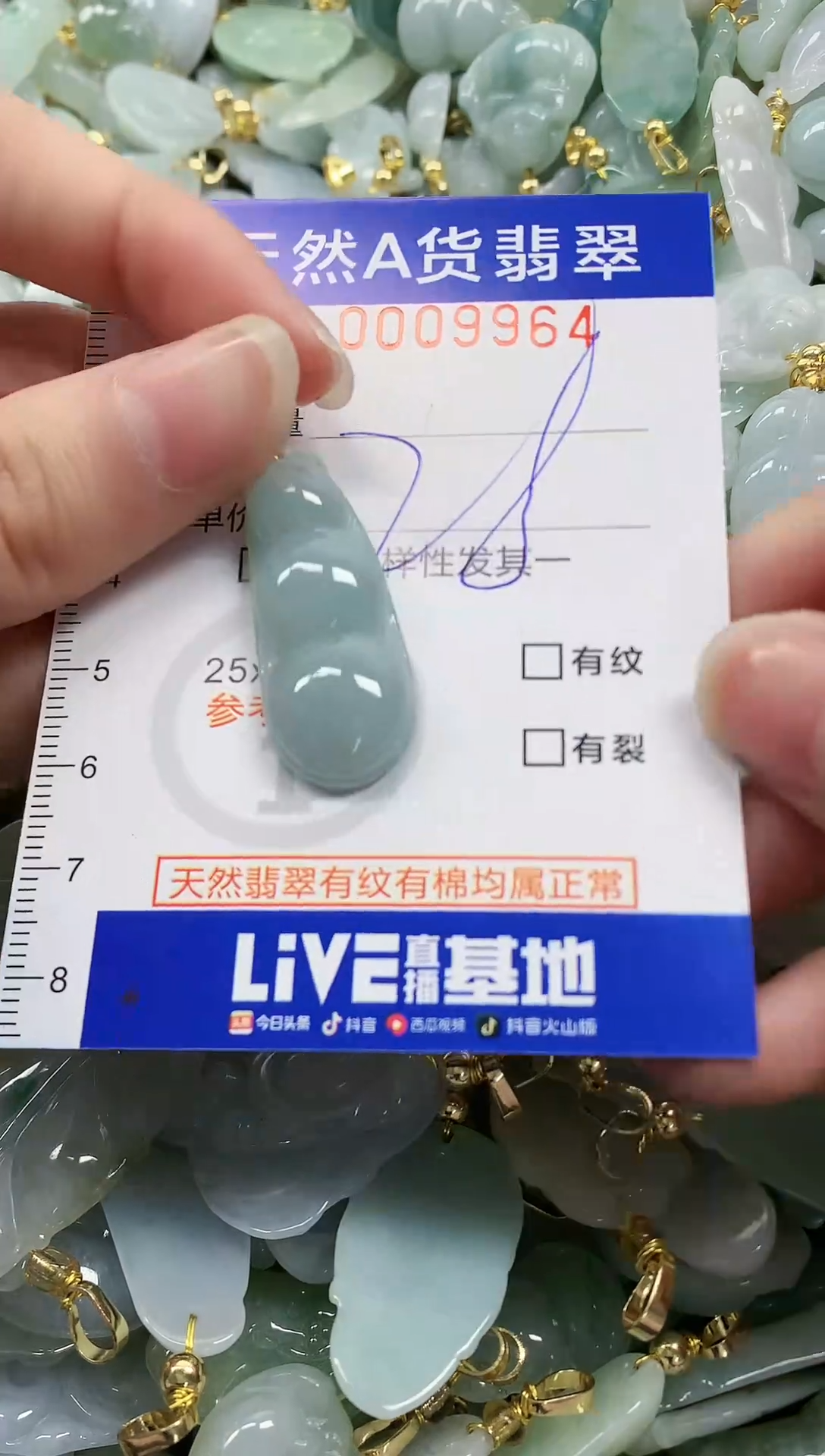 颈饰未镶嵌翡翠纯天然a货翡翠