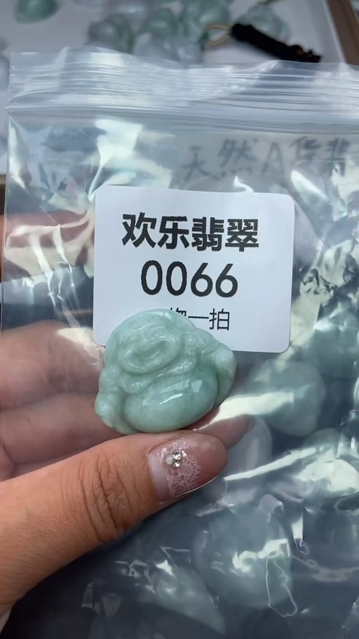 颈饰未镶嵌翡翠缅甸天然翡翠0066