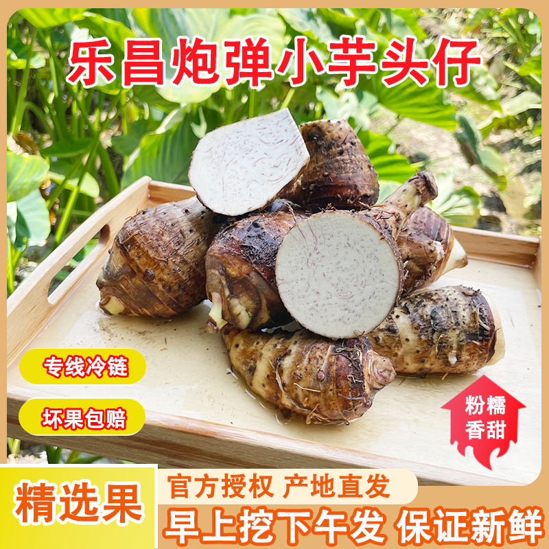 【顺丰包邮】广东韶关乐昌张溪香芋炮弹芋头小芋头仔粉糯毛芋槟榔芋