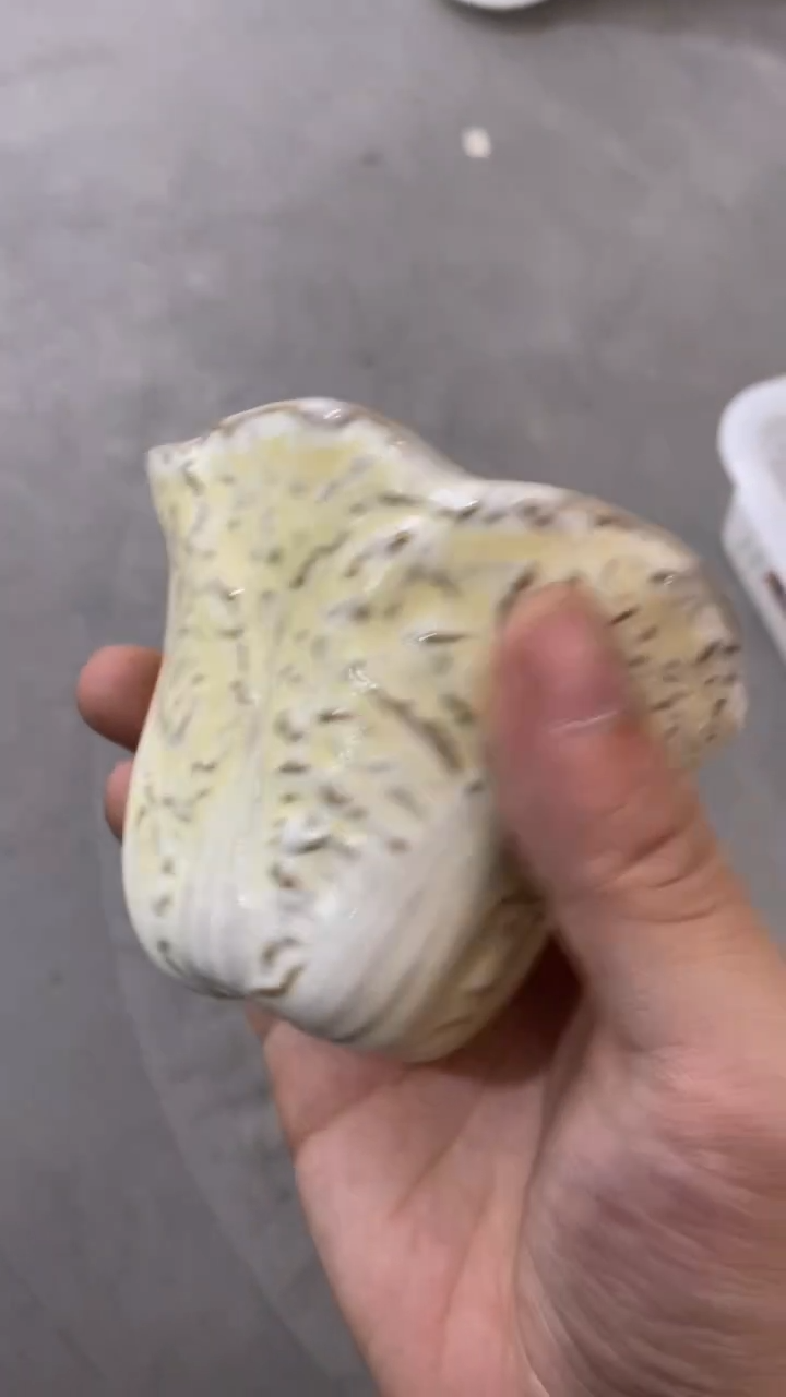 瓷片T528陶瓷茶具茶器