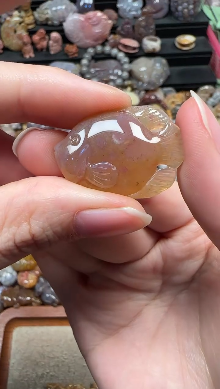 颈饰未镶嵌硅化珊瑚（珊瑚玉）855