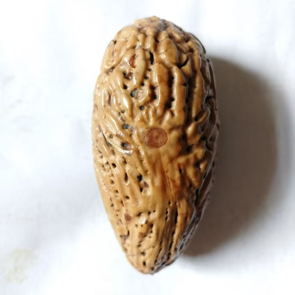 非金属木质手链 千眼现场开果包打孔穿绳文玩手把件