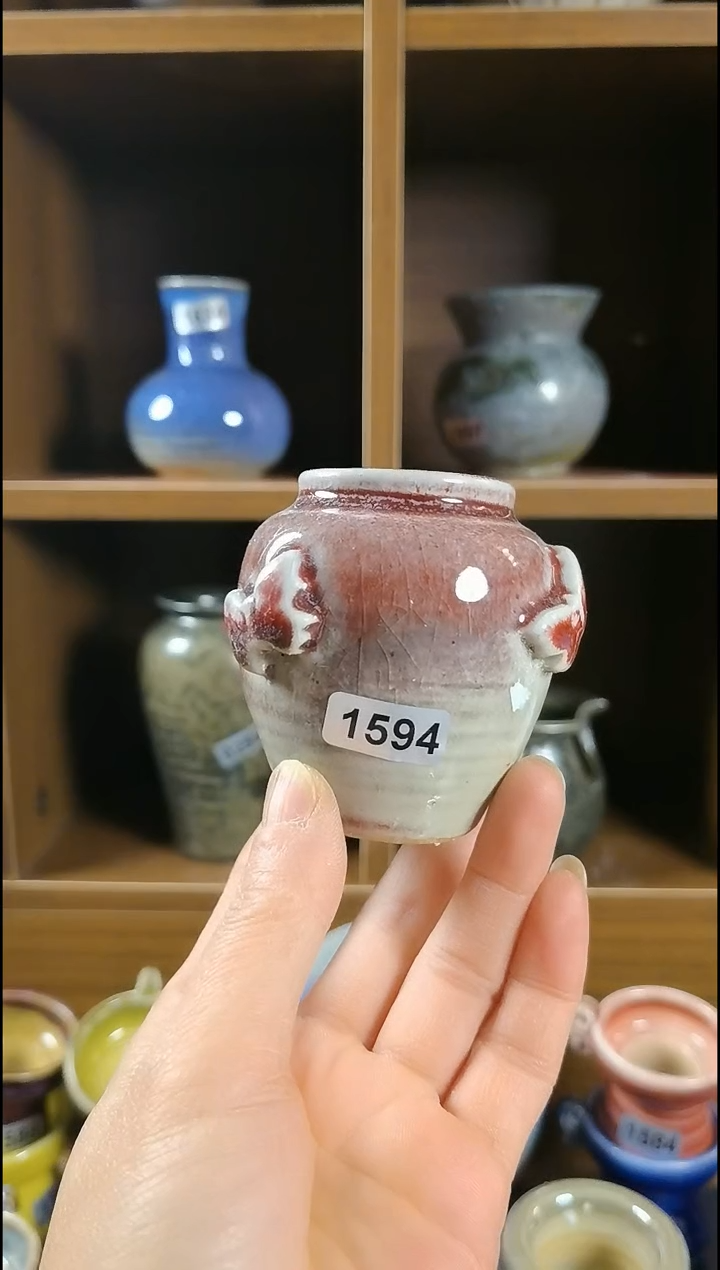 【闪购商品】红陶1564