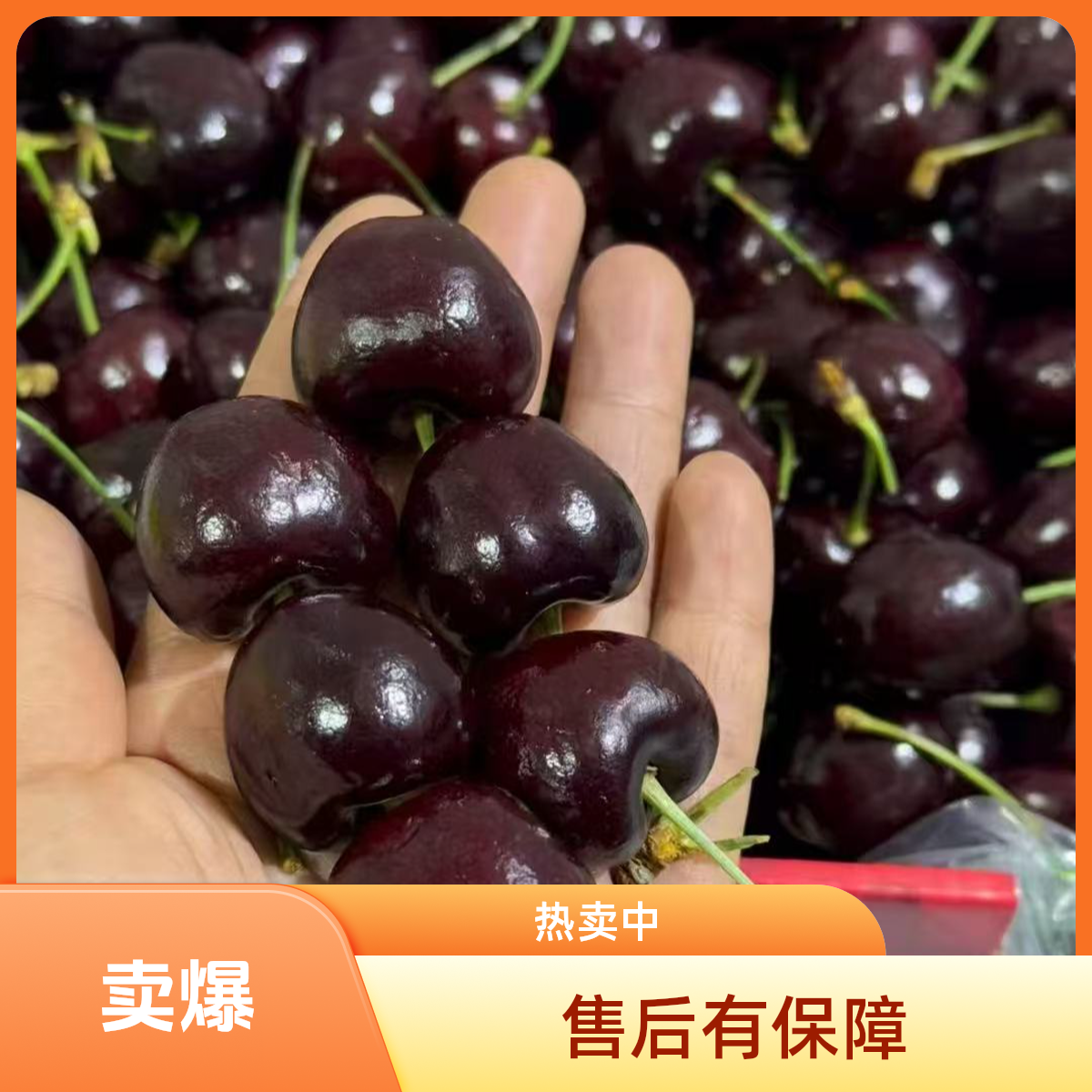 【现货速发】3JD智利进口空运车厘子桑提娜新鲜水果3-5斤内附果径卡桑提娜樱桃智利共和国