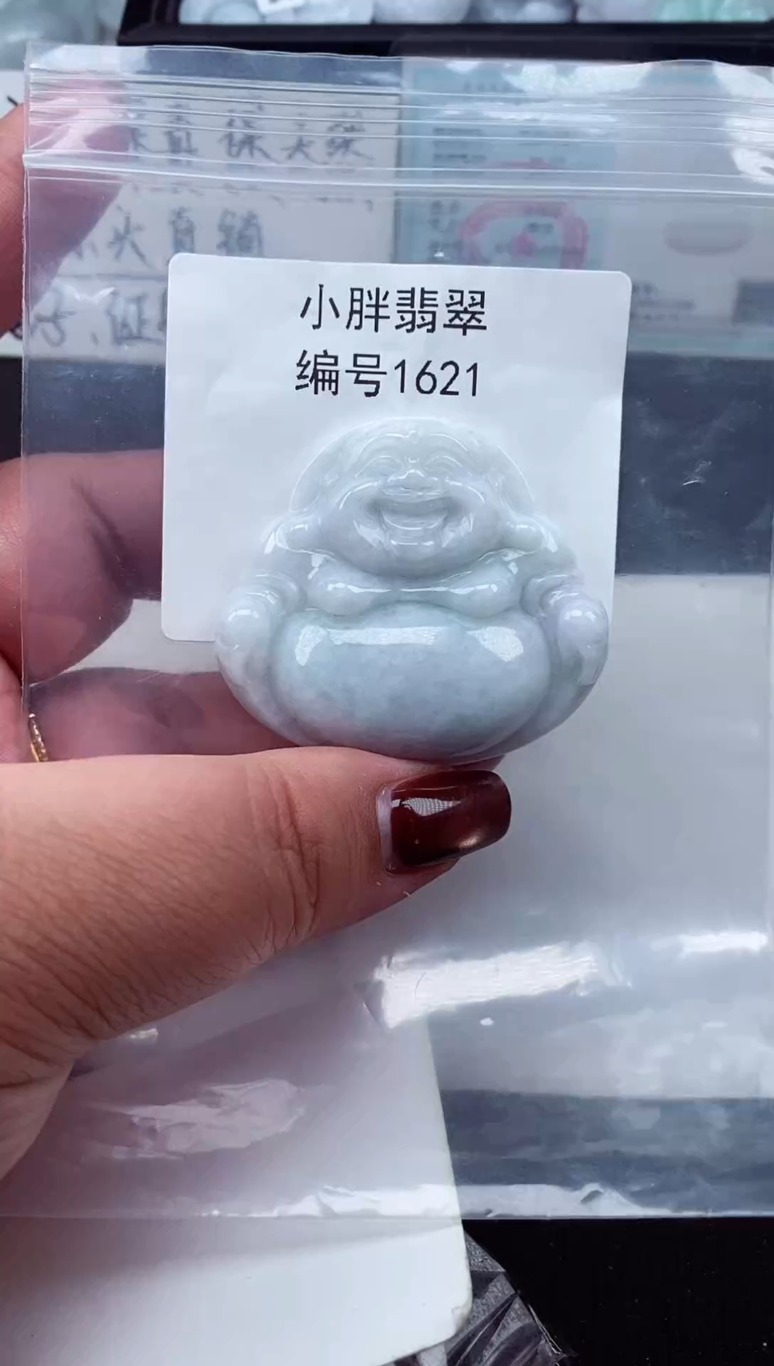 颈饰未镶嵌翡翠缅甸天然A货翡翠1621