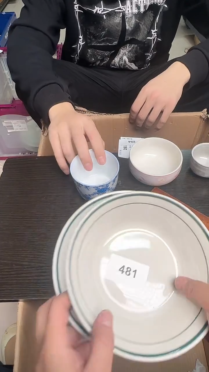 瓷片瓷器瓷器瓷器481