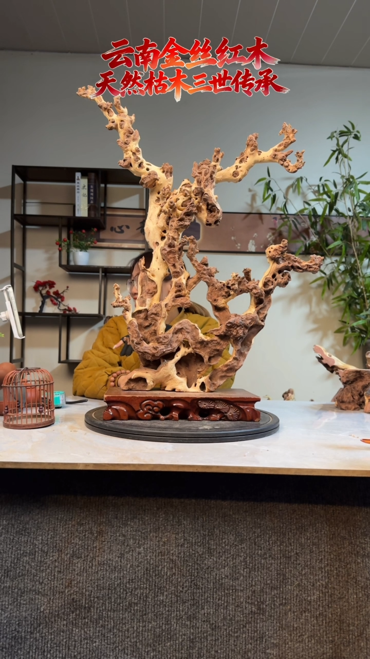 木追****君金丝红木J550