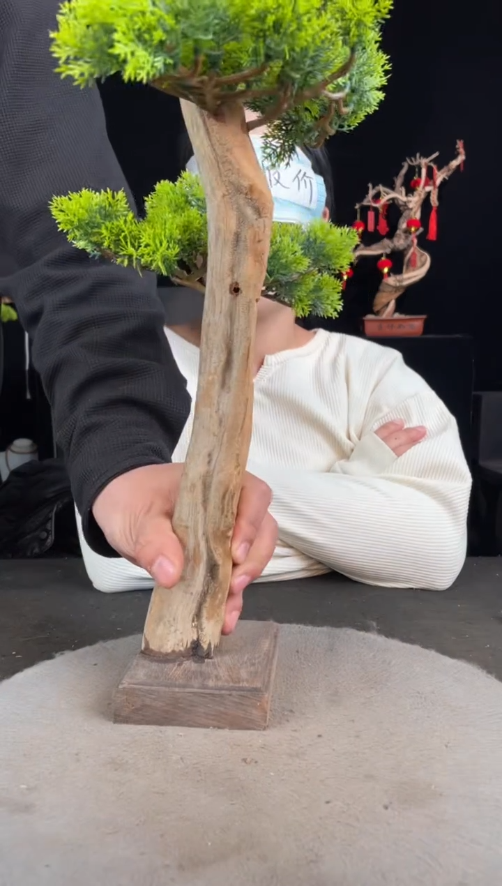 【闪购商品】柏木（崖柏）其他手工摆件,先抢先得!