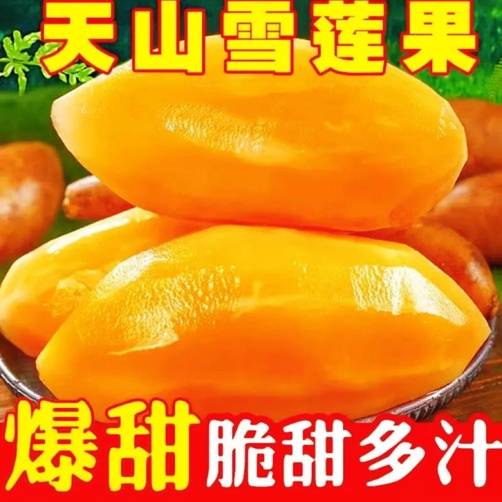 【亏本一万单】云南正宗黄心天山雪莲果现挖新鲜应季水果清甜脆爽q3